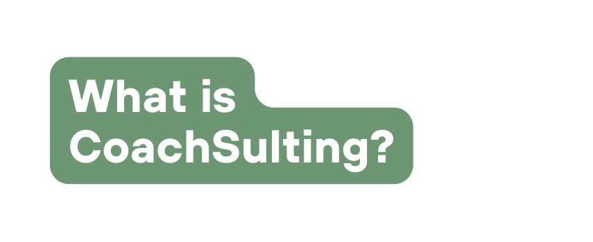 What is CoachSulting